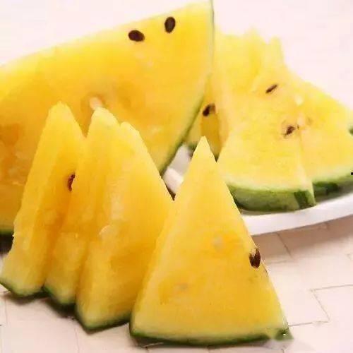 黑瓜吃料网在线