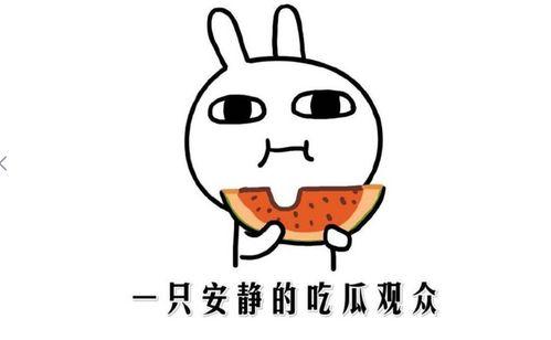 抖音黑料吃瓜网,吃瓜网带你探秘网红圈幕后真相
